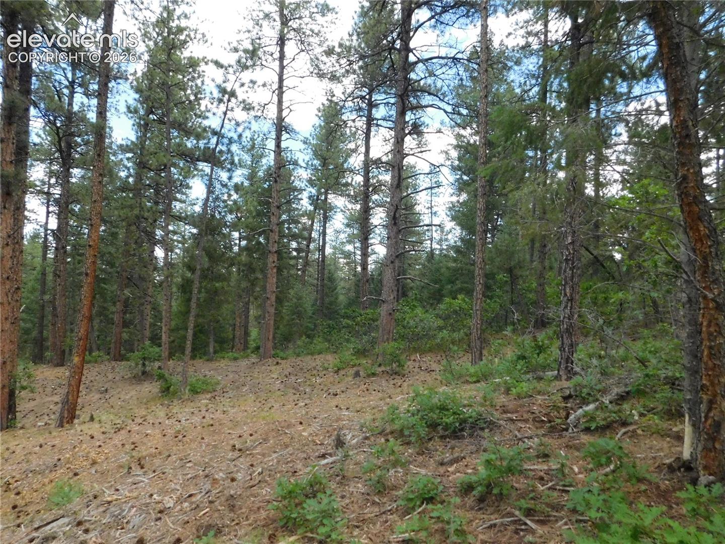 Photo 33 of 8139 Bannock Drive, Larkspur