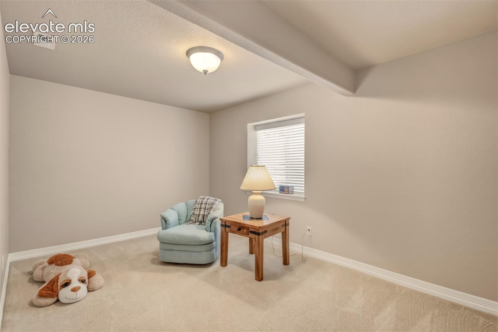 Neutral wall color, carpeted flooring, window with blinds, overhead lighting fixture, and ceiling detail