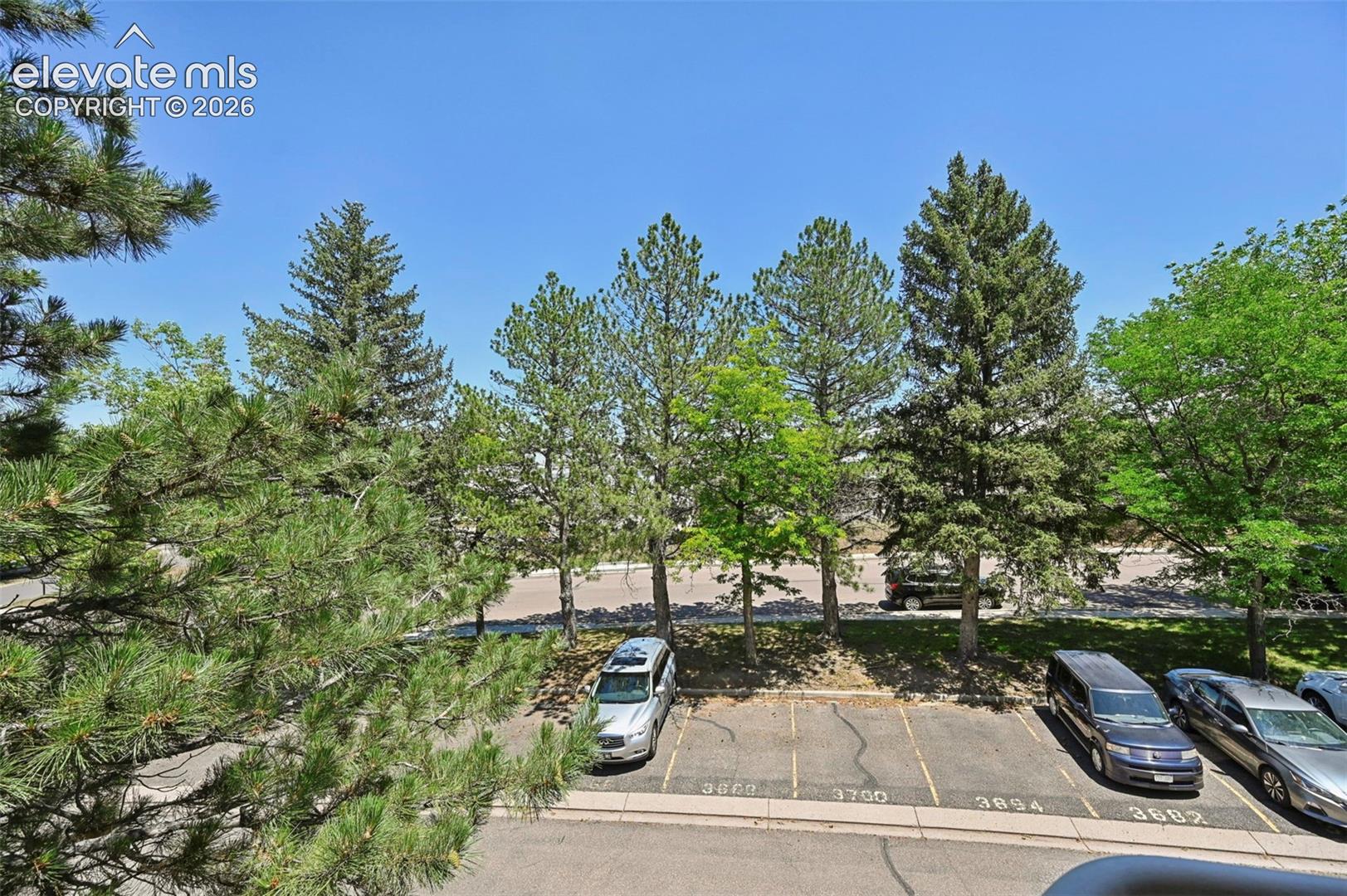 Photo 21 of 3684 Iguana Drive, Colorado Springs