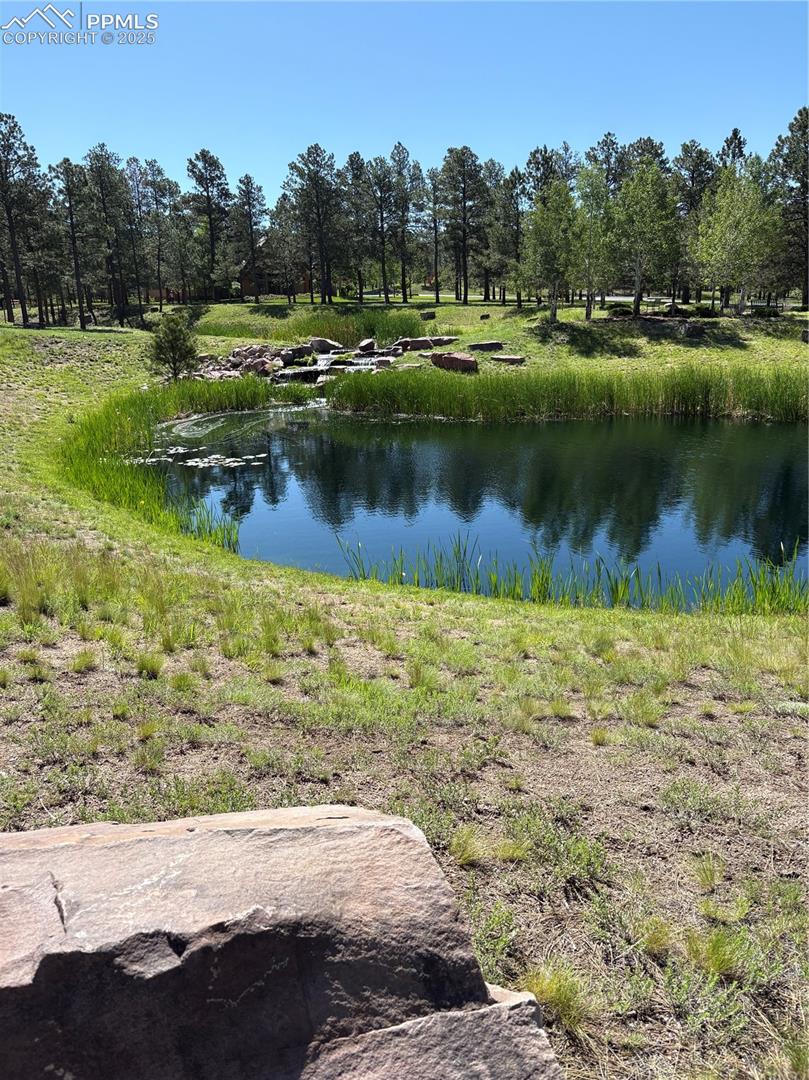  Fishing pond in Cathedral Pines- Catch and Release