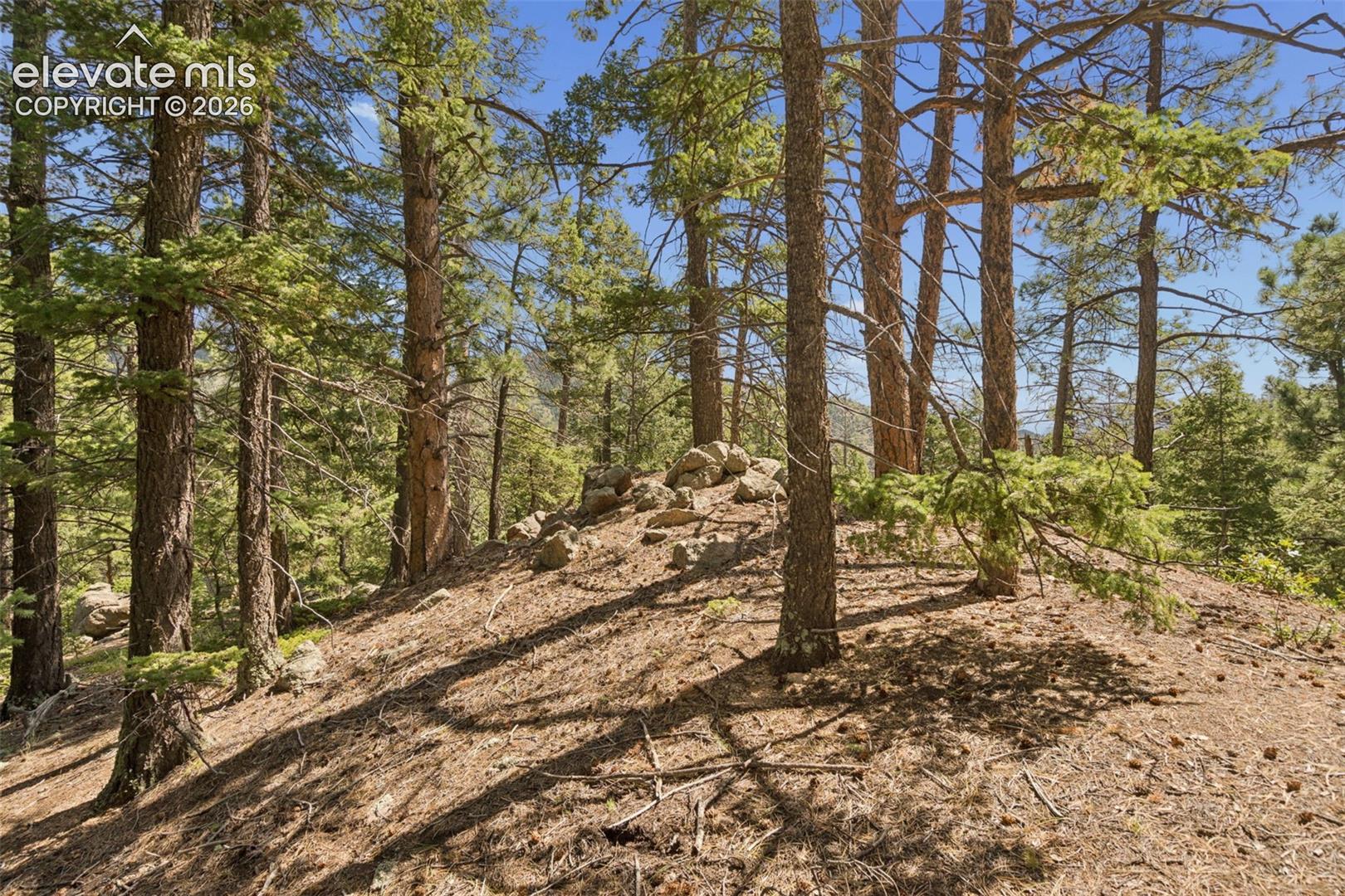Photo 31 of 5110 Little Turkey Creek Road, Colorado Springs
