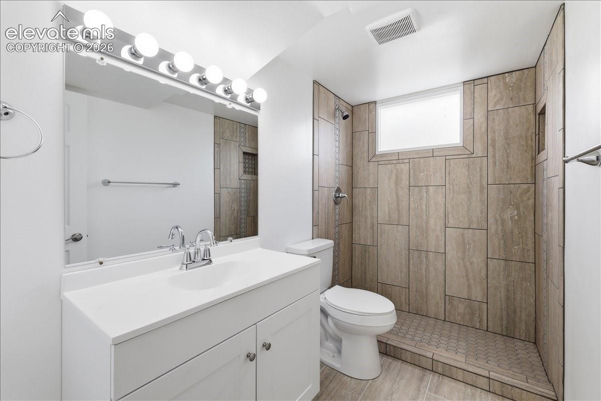Lower level bathroom.