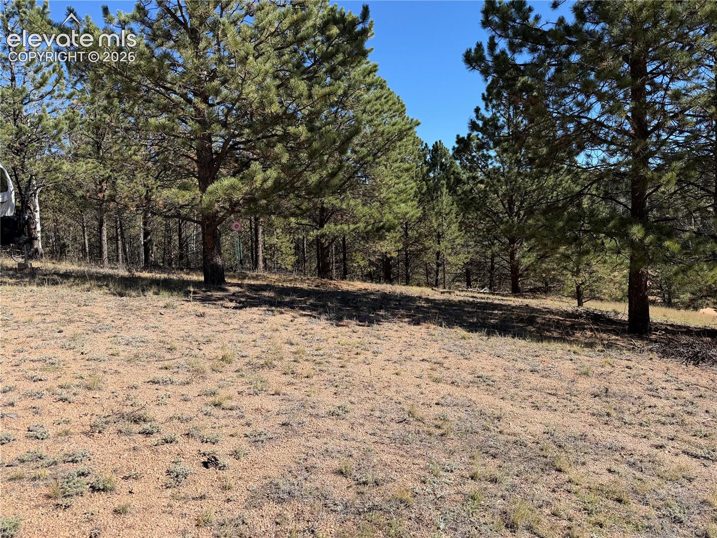 Sloped lot featuring native terrain and mature pine trees