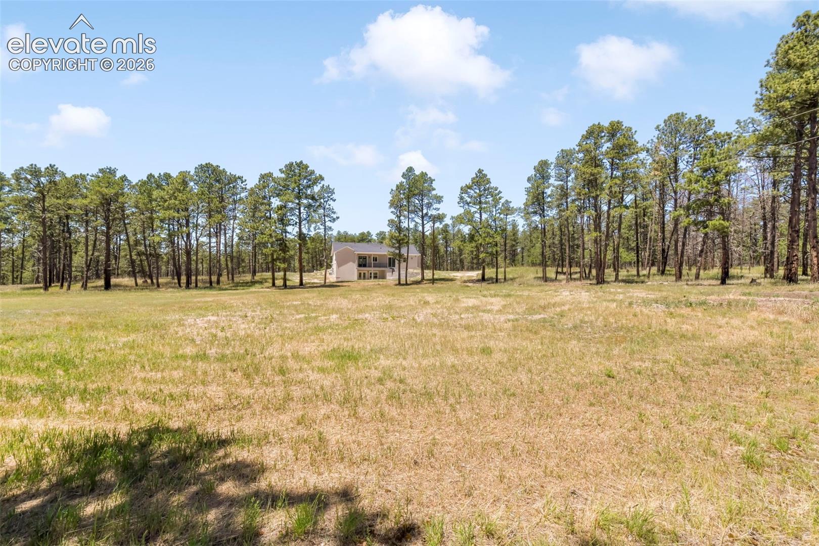 Incredible 5 acre property with trees