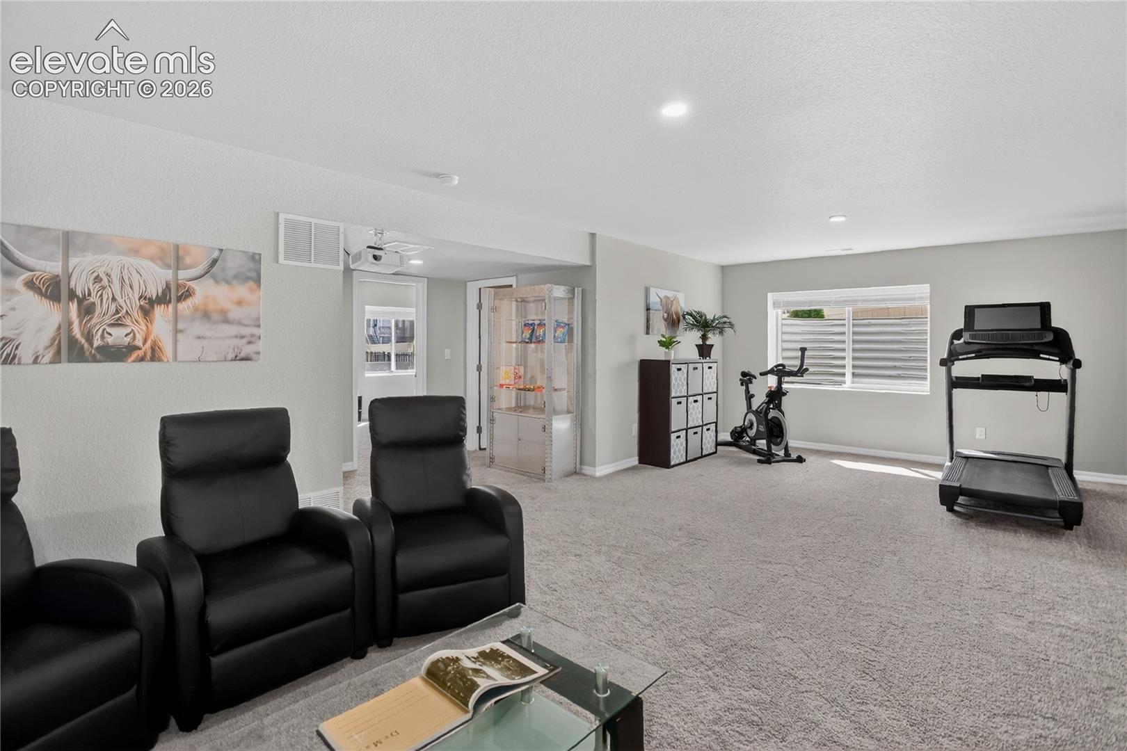 Spacious rec room - lower level