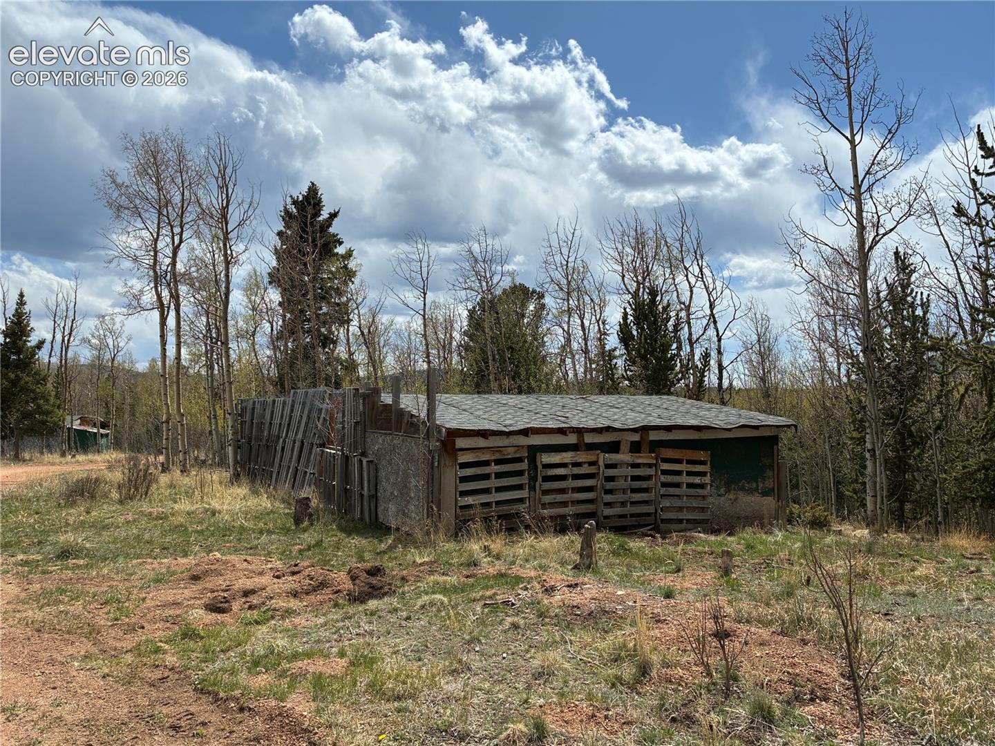 Chicken coops need TLC. 