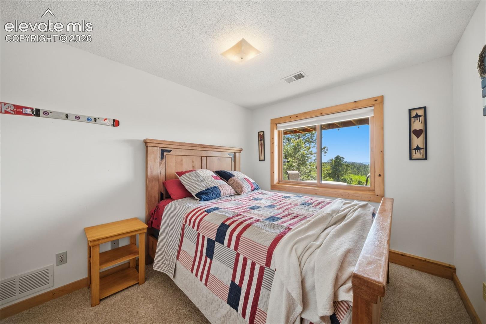 Basement level bedroom