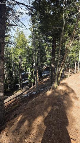Photo 4 of 321 Tillicum Trail, Woodland Park