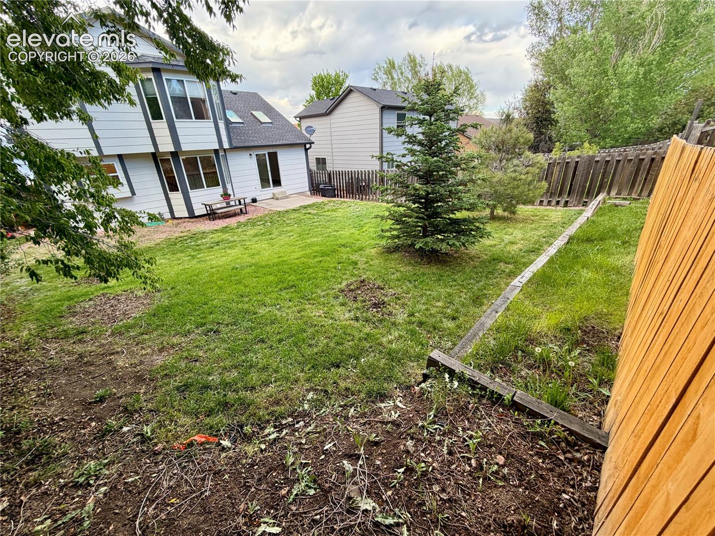 Expansive backyard featuring a lush lawn, mature evergreen trees, and a concrete patio