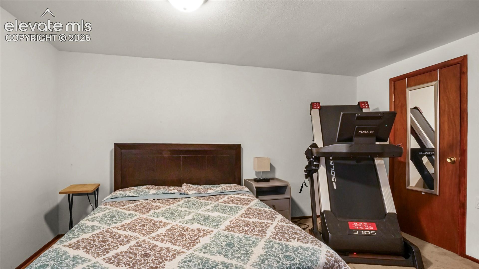 Bedroom ensuite basement in the basement, window with wood-finish trim, overhead flush-mount lighting, and light-colored walls, carpet