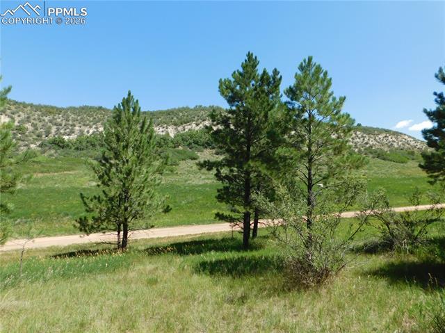 Photo 31 of 4668 Comanche Drive, Larkspur