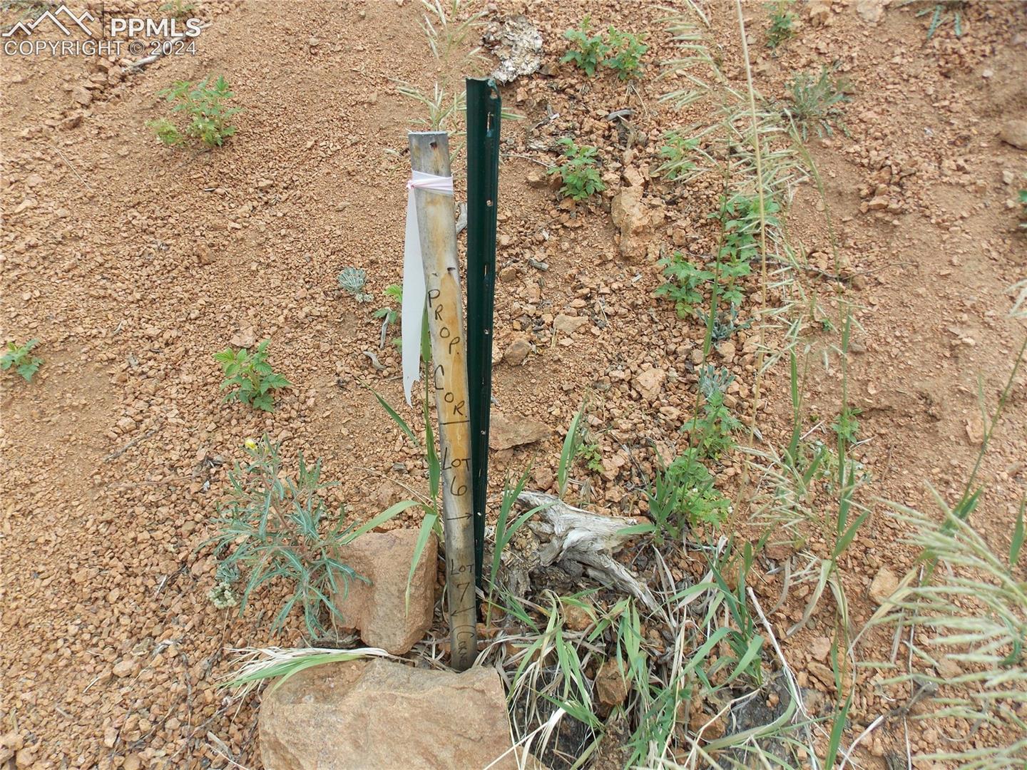 SouthEast corner located next to Crooked Trail Rd