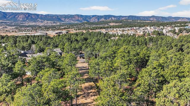 1380 Buckwood Ln, Monument, CO 80132