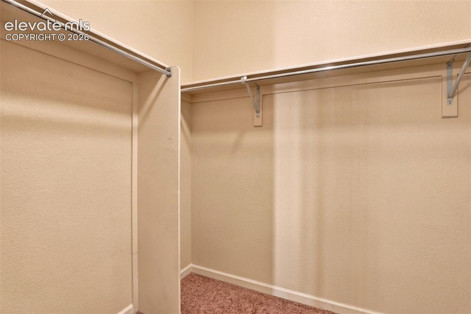 Walk-in closet featuring carpet flooring, dual-level metal garment rods, and built-in shelving