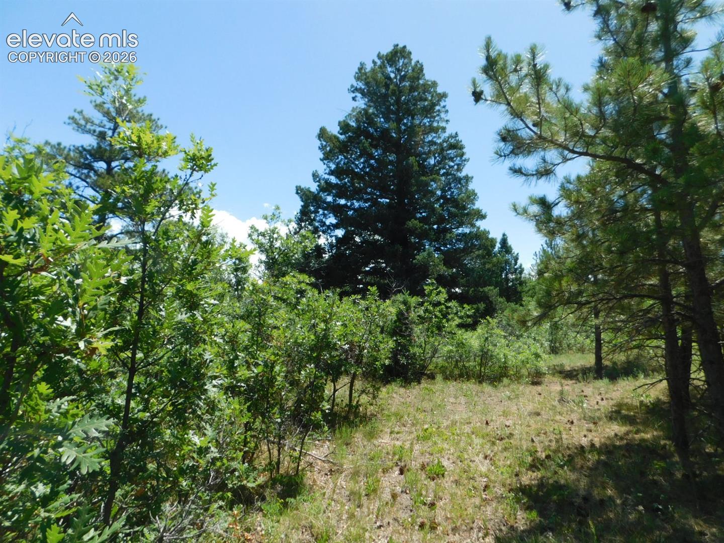 Photo 36 of 6447 Thunderbird Road, Larkspur