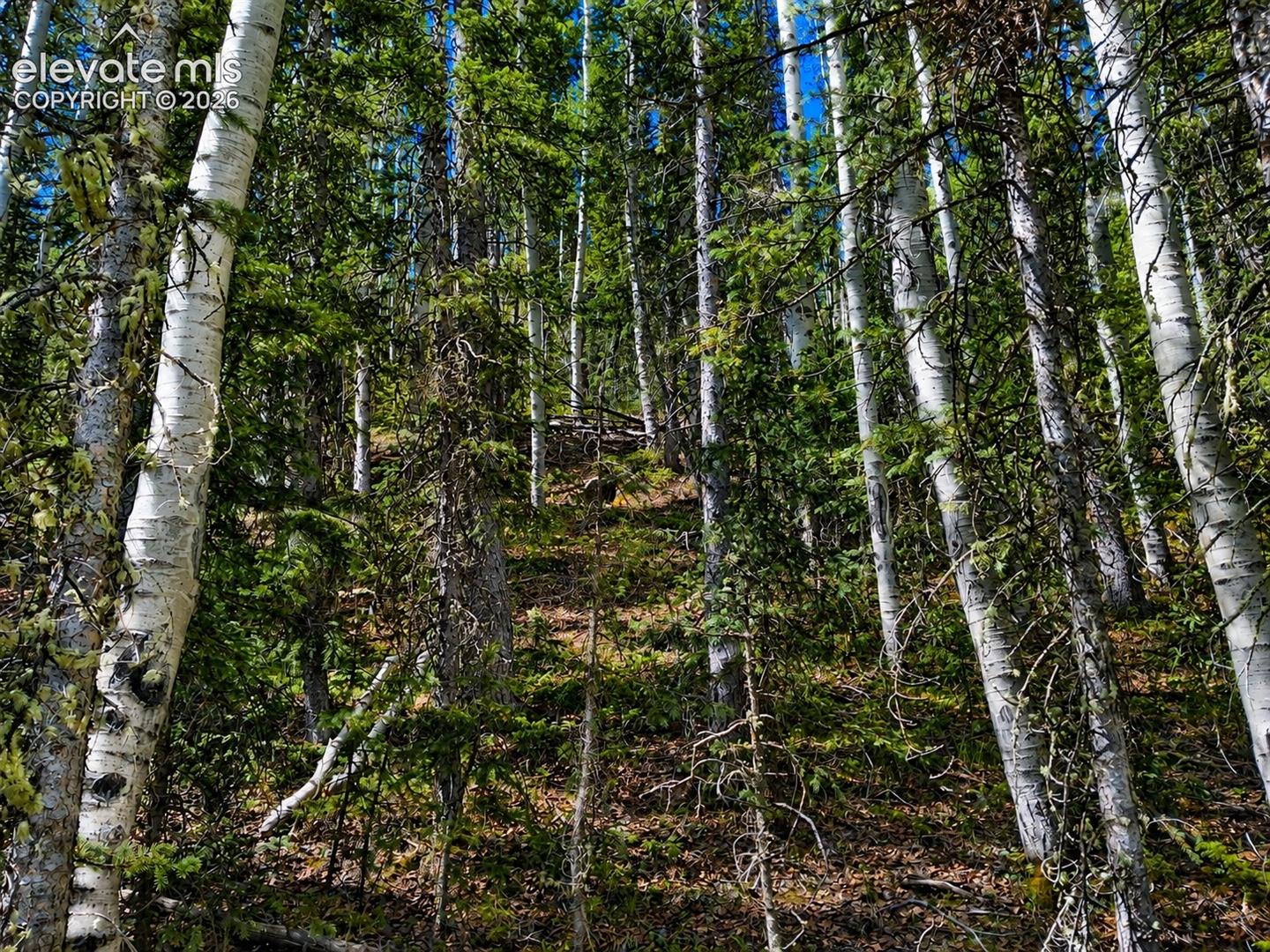 2462 Anges Dr, Cripple Creek, CO 80813