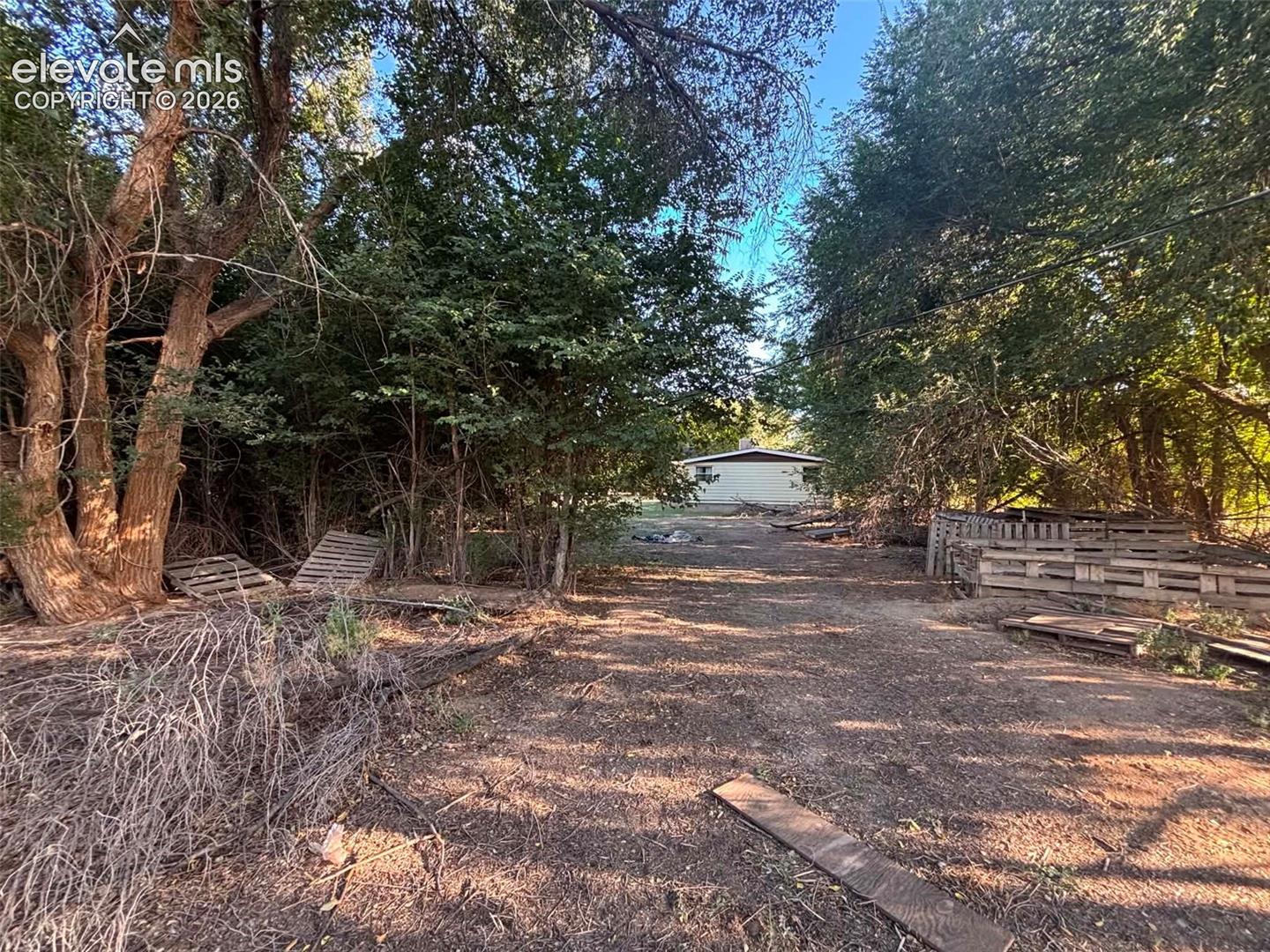 Expansive lot featuring mature trees and a natural landscape