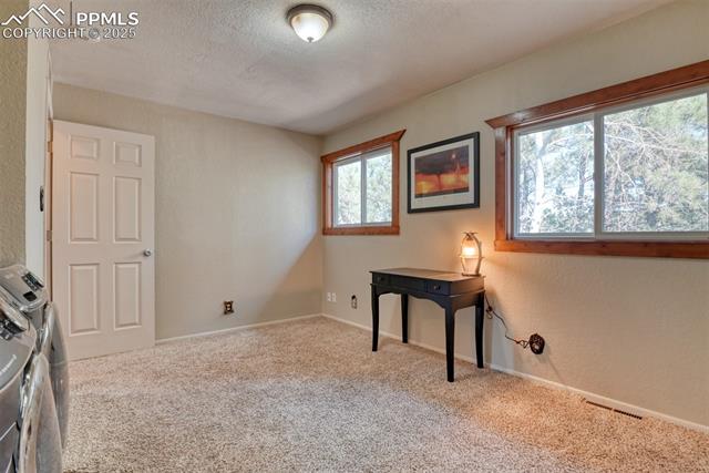 Unfurnished office with carpet floors, a textured wall, a textured ceiling, and washer / dryer