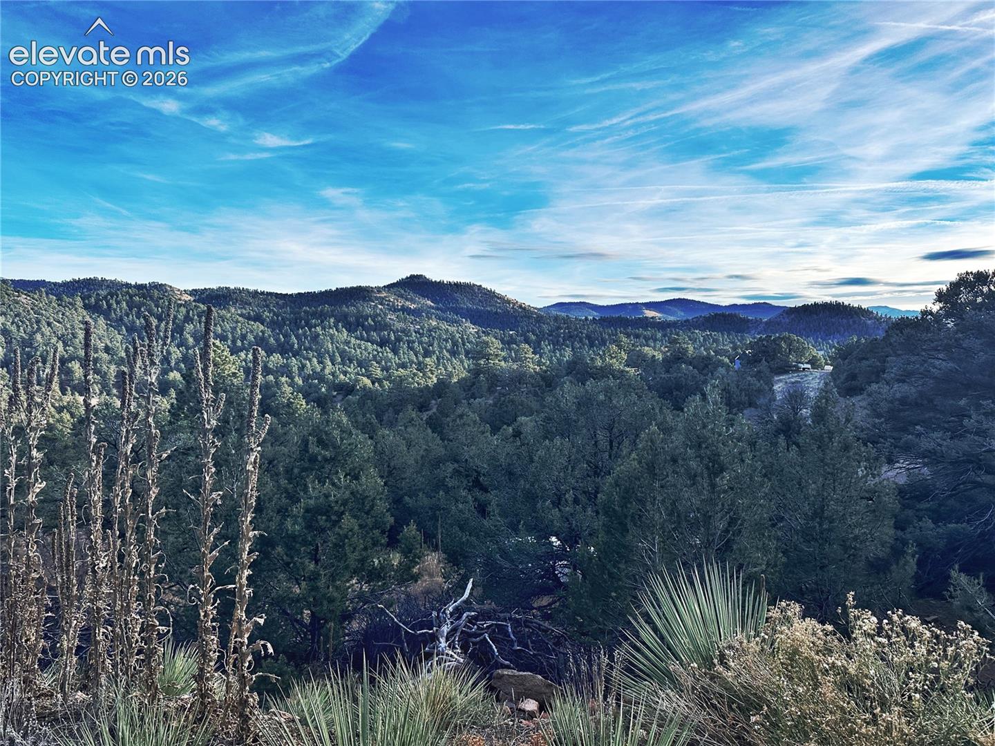 2973 Driftwood Rd, Westcliffe, CO 81252