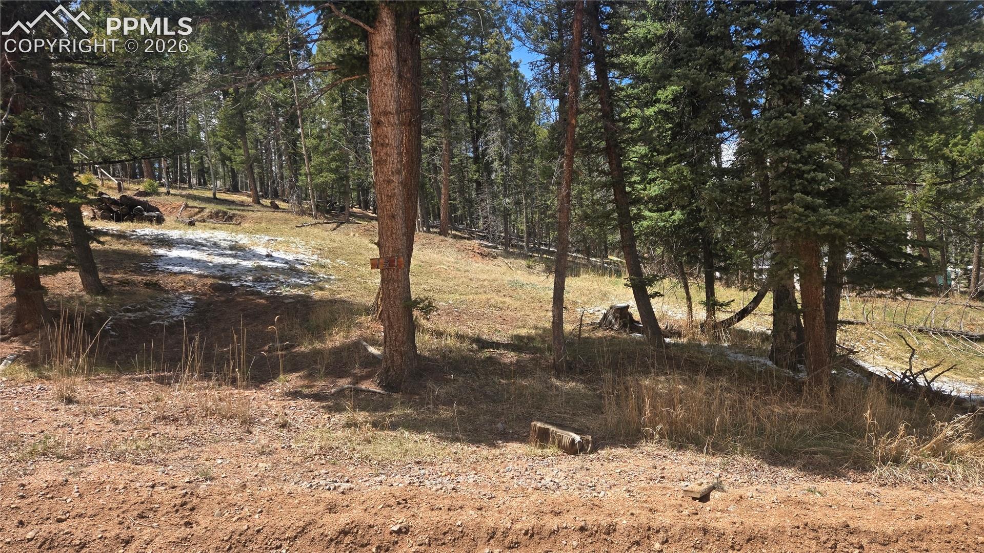151 Mt Elbert Rd, Florissant, CO 80816
