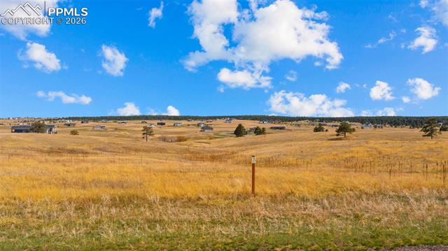 Photo 17 of 10230 Alamar Way, Colorado Springs
