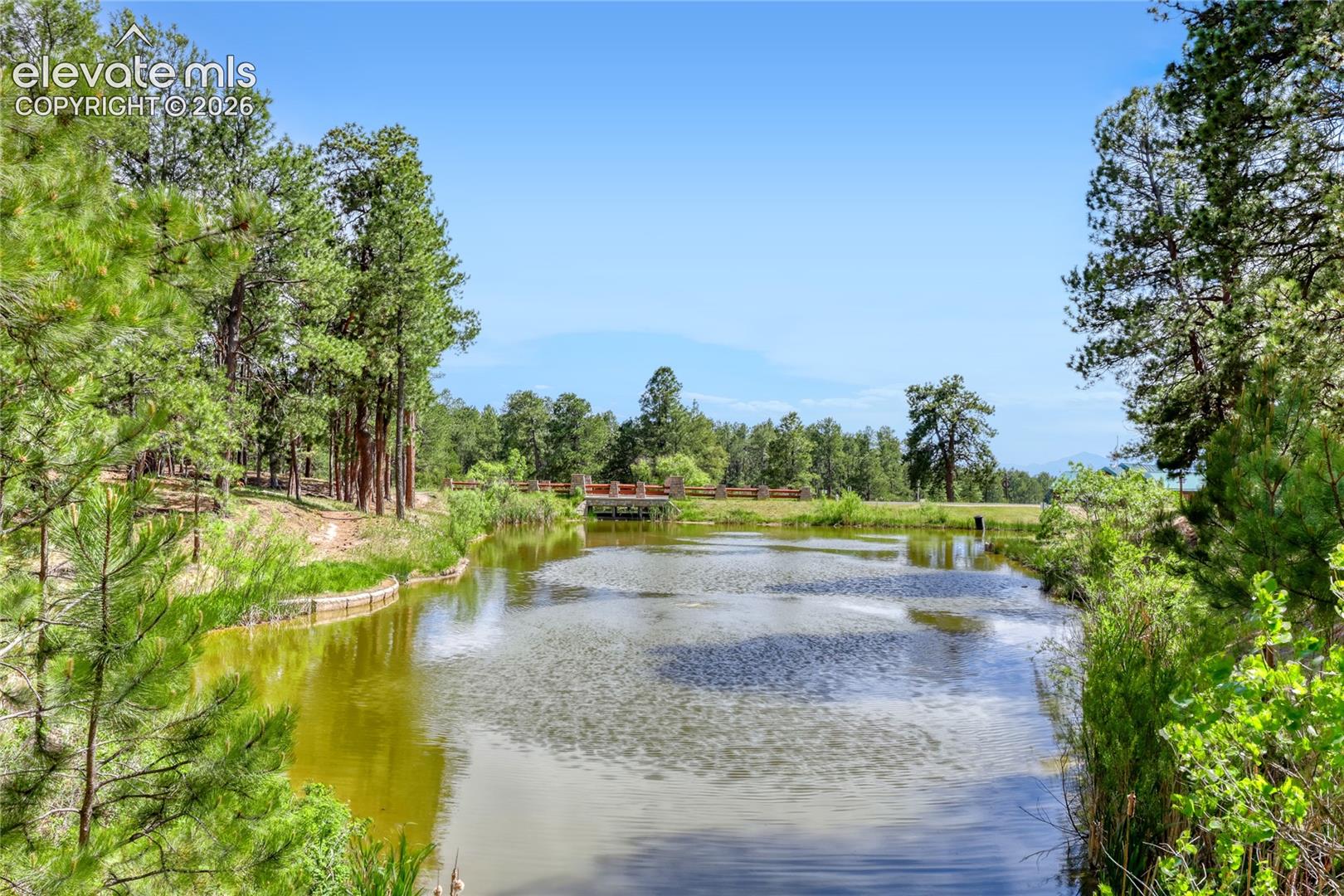15931 Waving Branch Way, Colorado Springs, CO 80908