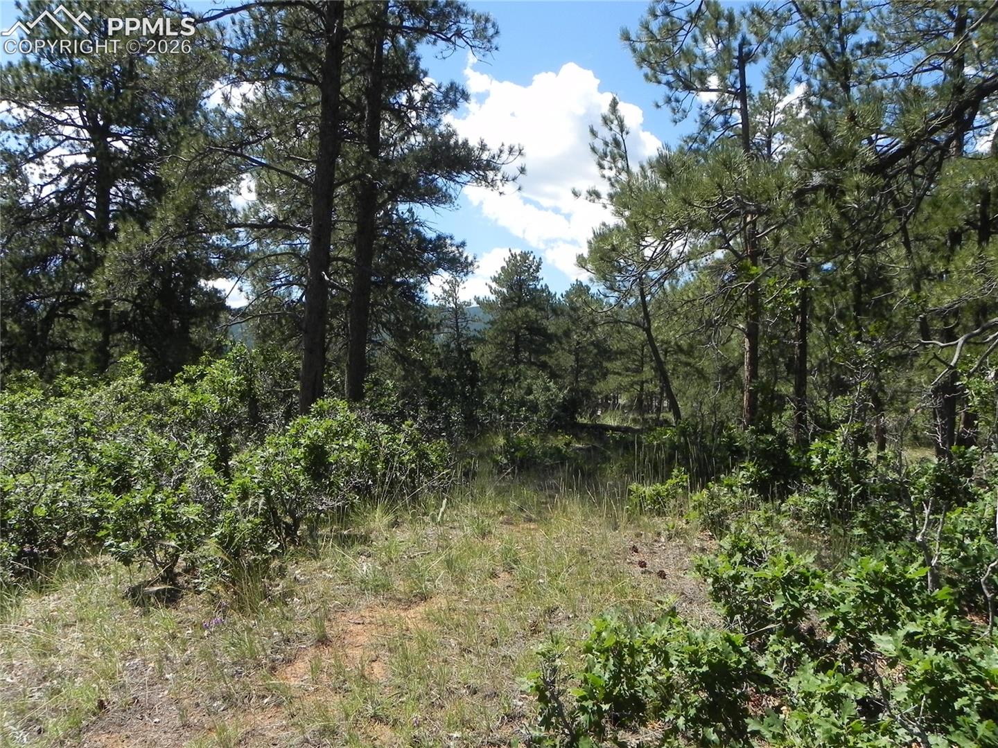 Photo 14 of 4144 Cheyenne Drive, Larkspur
