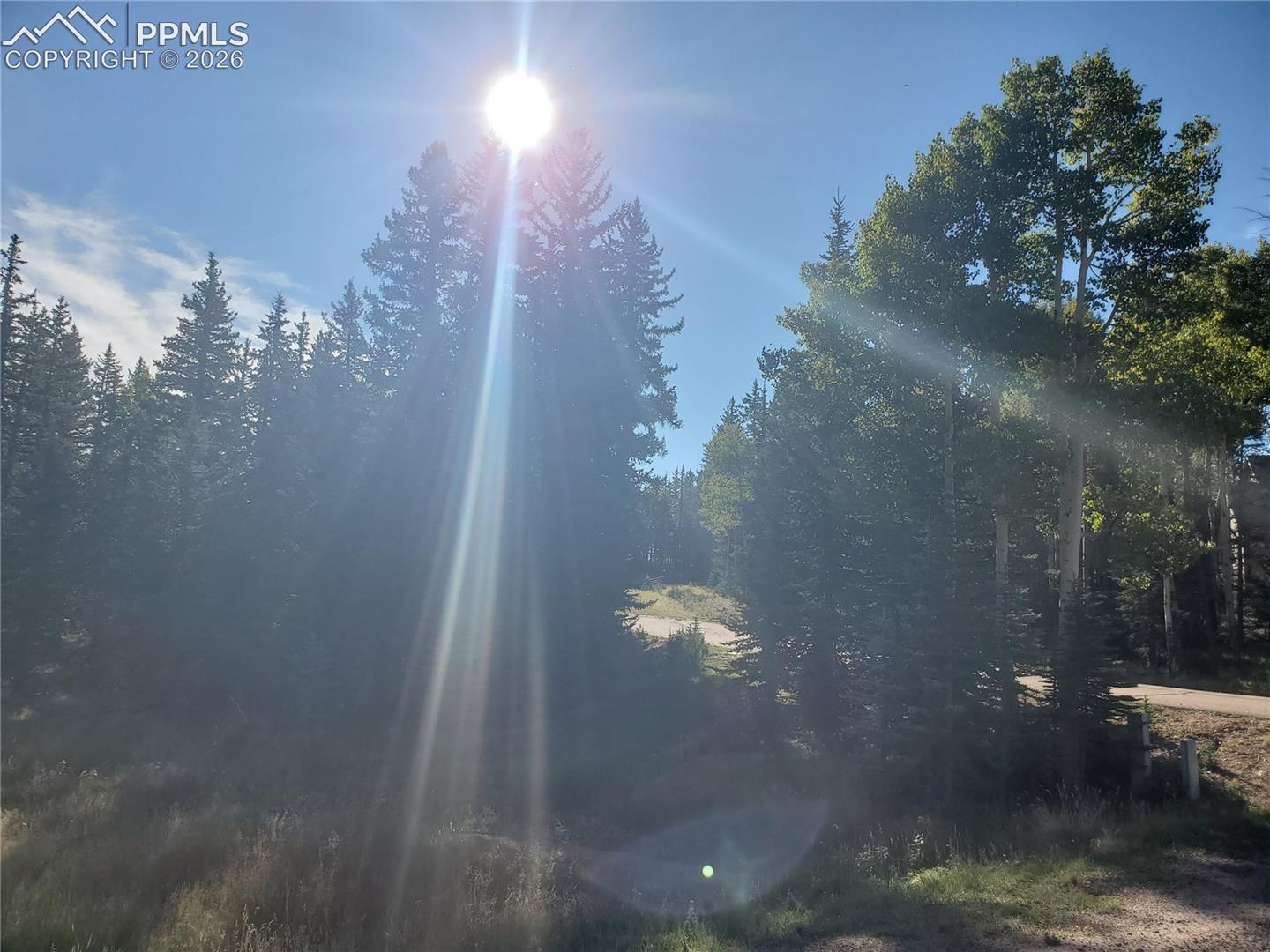 Photo 7 of 309 Pinaceae Heights, Divide