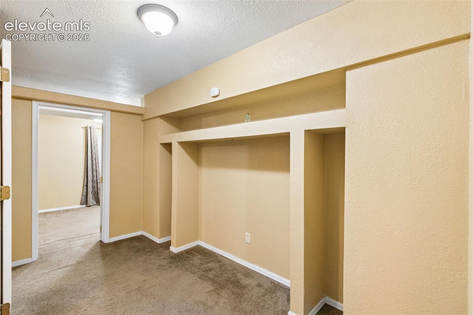 Built-in recessed shelving featuring multi-level display alcoves and a flush-mount overhead light fixture