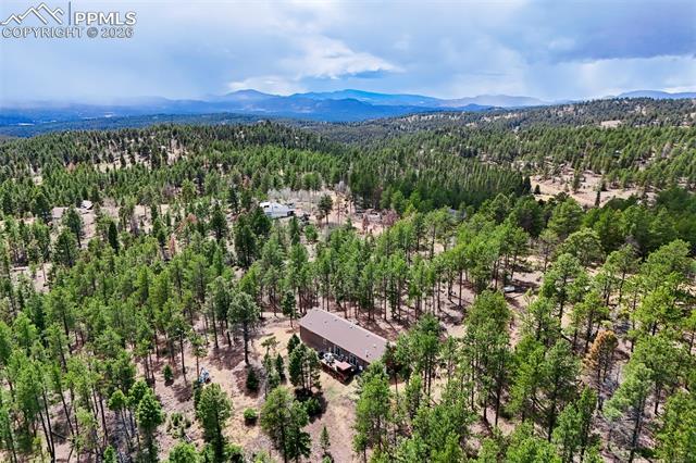 858 Fossil Creek Rd, Florissant, CO 80816