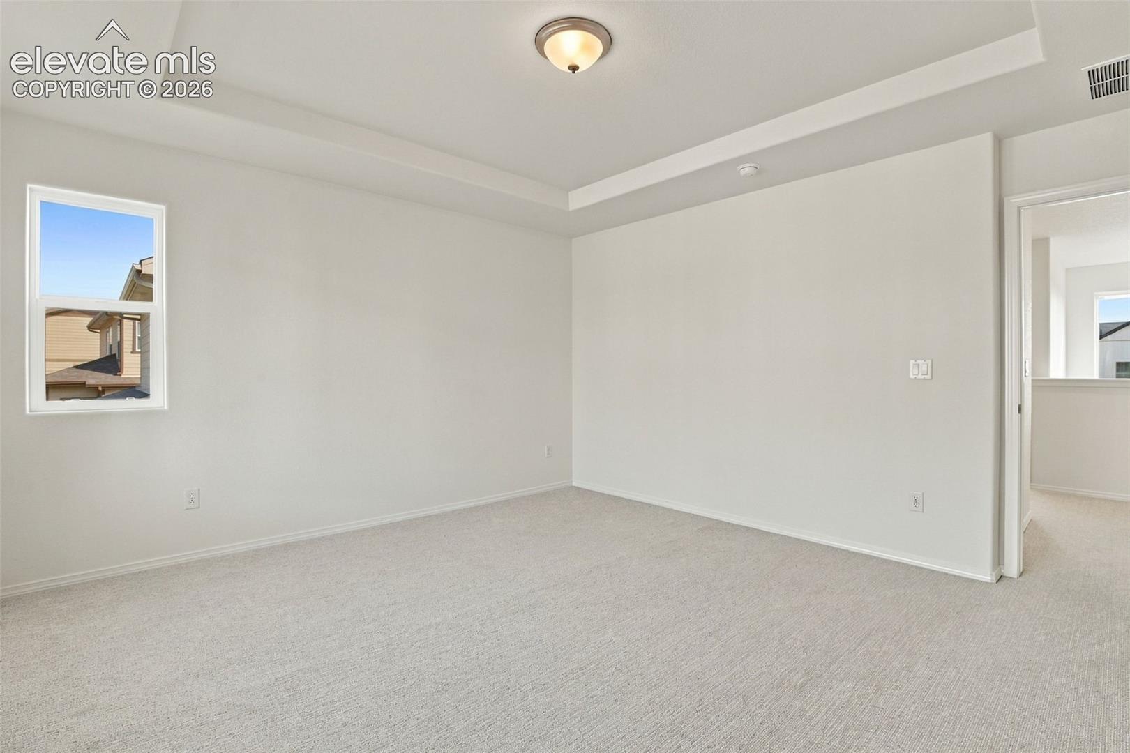 Tray ceiling with a centered flush-mount light fixture, neutral wall-to-wall carpeting, and a single-hung window