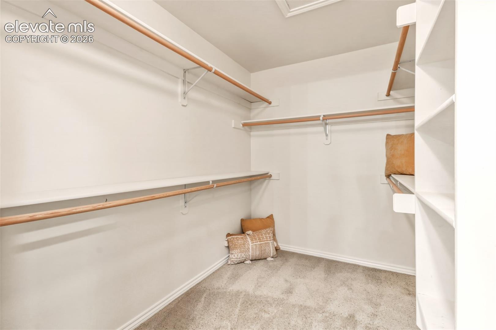 Walk-in storage space featuring multi-level wood-finish garment rods, painted shelving units, and neutral wall-to-wall carpeting