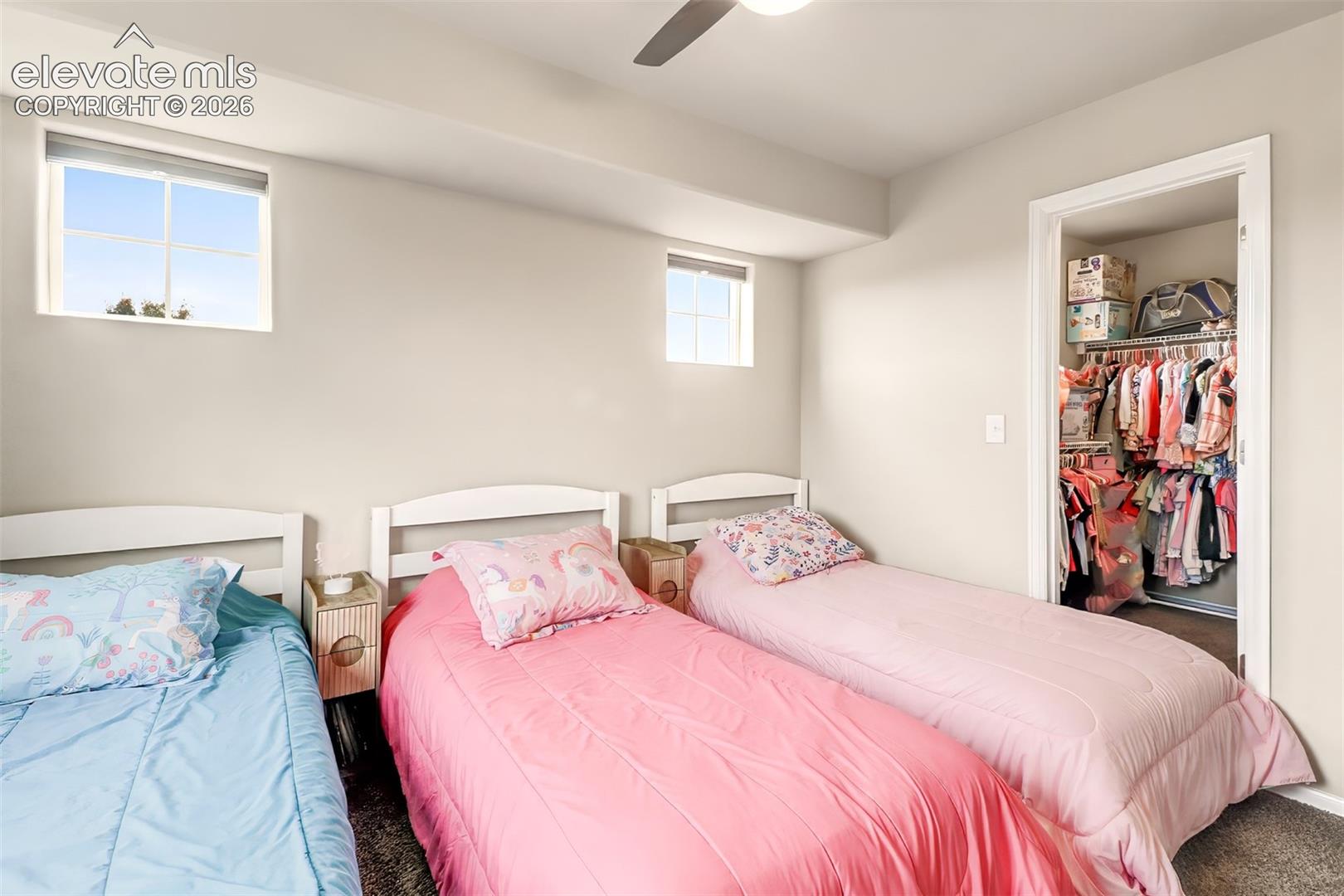 Room featuring neutral wall paint, carpeting, two inset windows, and a walk-in closet with built-in shelving