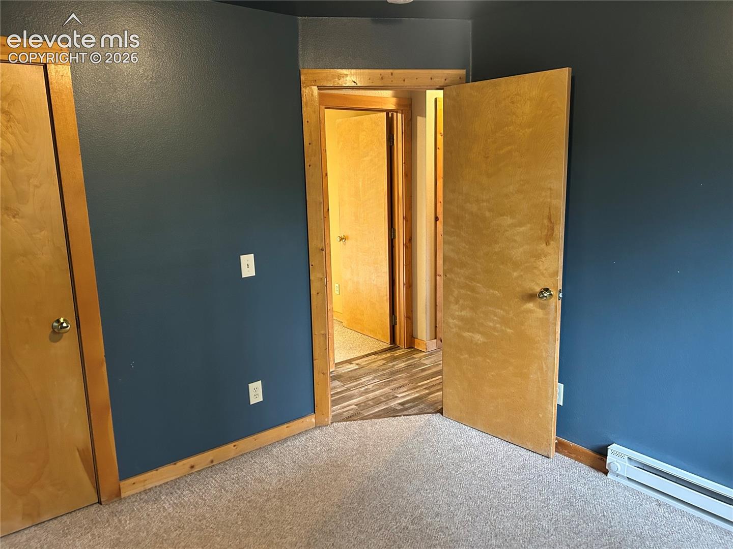 Interior space featuring textured carpeting, natural wood-finish door frames, and natural wood-finish slab doors