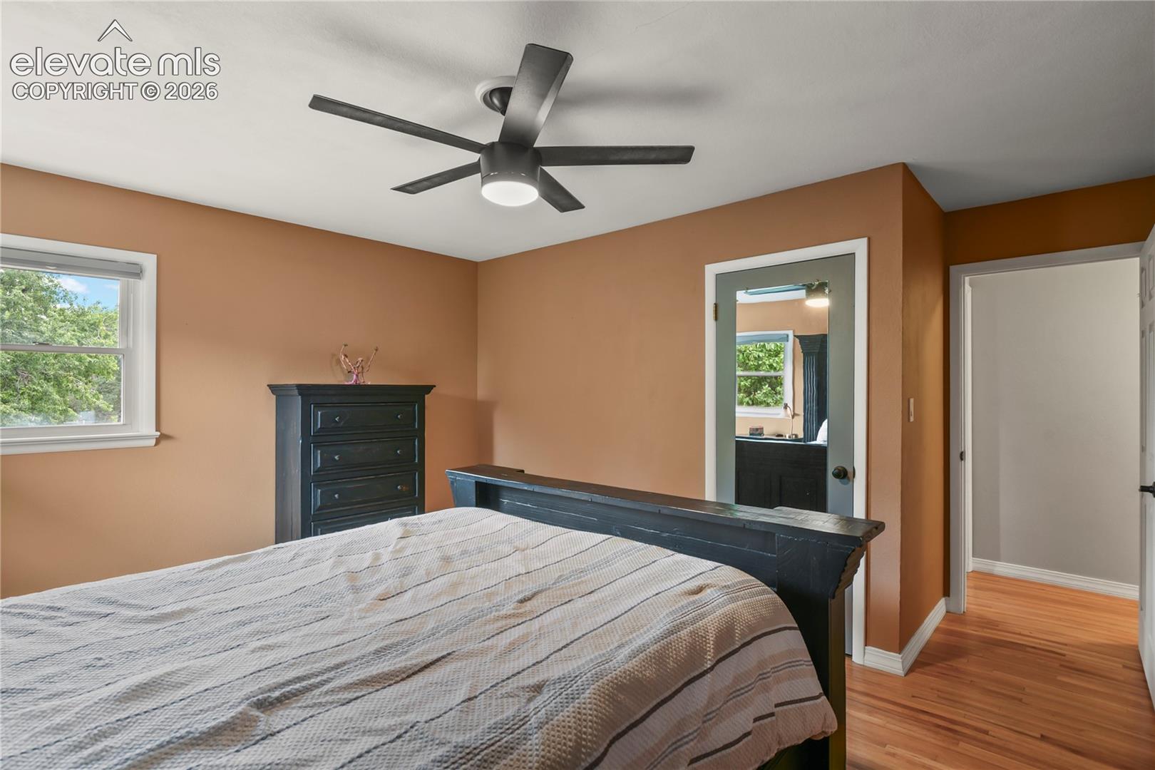 Photo 21 of 1516 Dorchester Drive, Colorado Springs