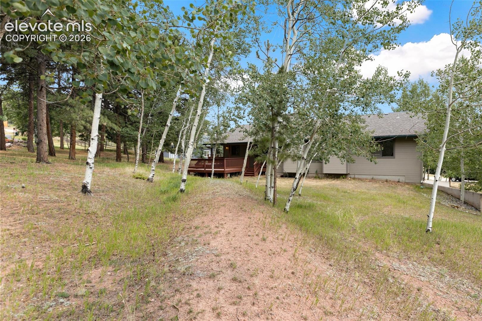 Back yard looking toward back of house. 