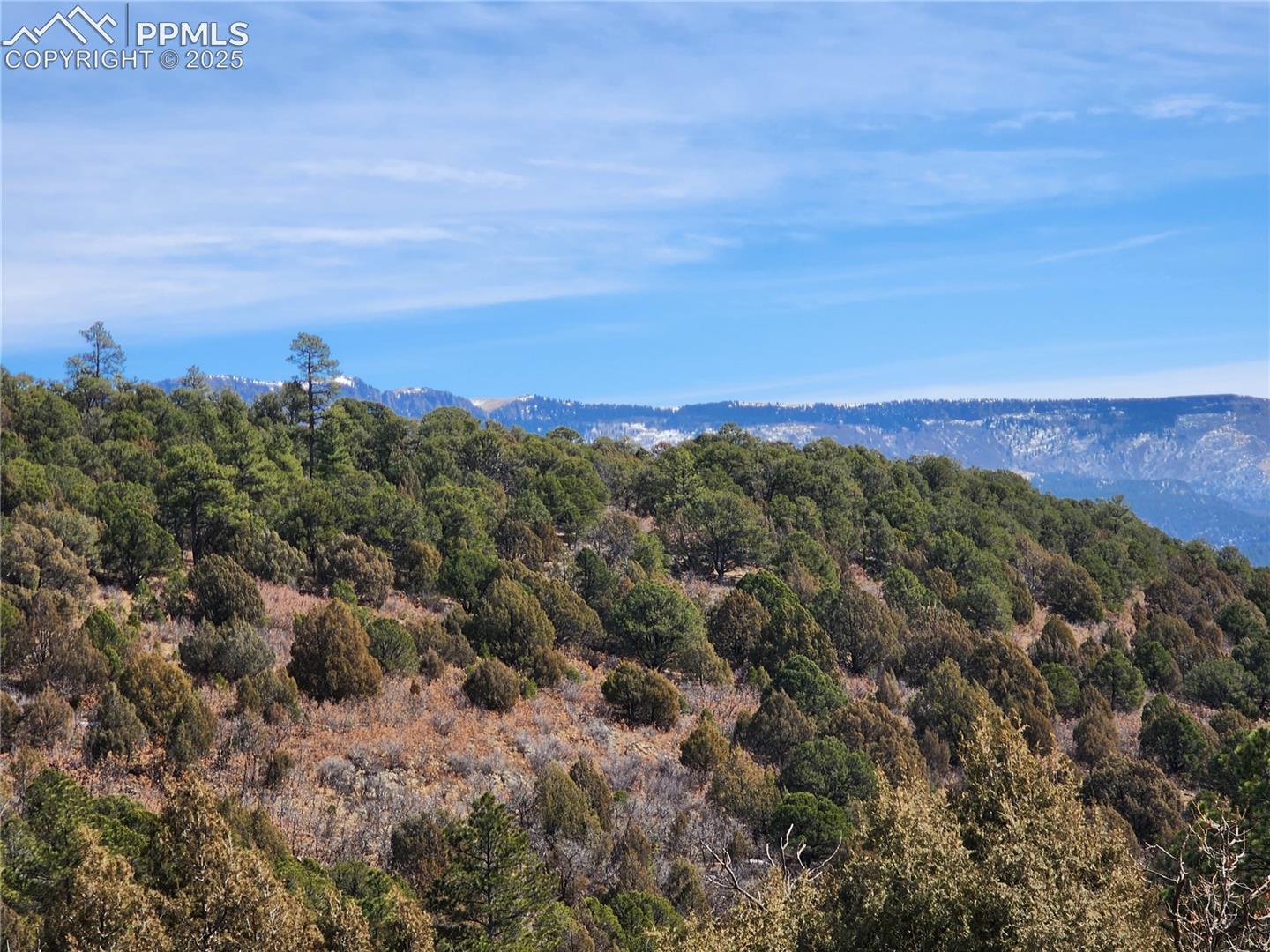 Mountain view featuring a forest