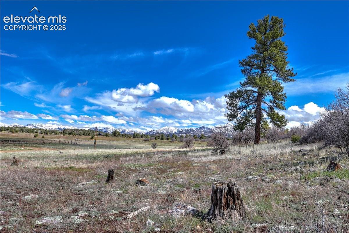 Photo 16 of 1234 Scenic Avenue, Pagosa Springs