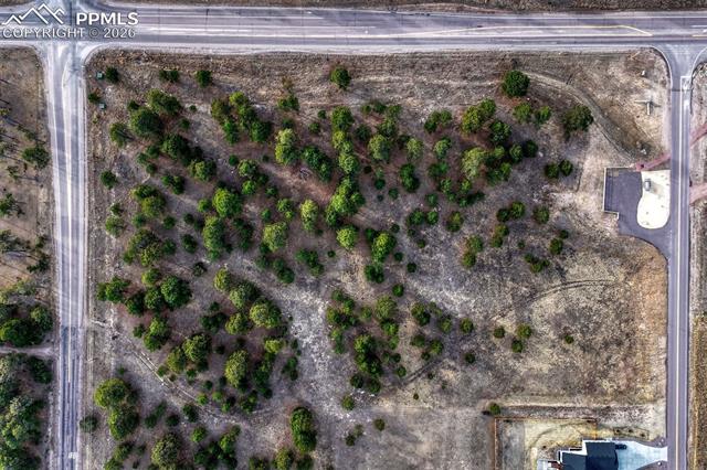 Photo 9 of 16511 Early Light Drive, Colorado Springs