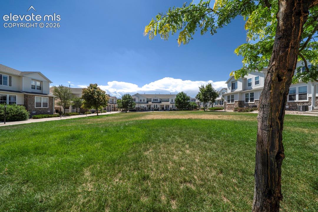 6042 Ensemble Hts, Colorado Springs, CO 80923