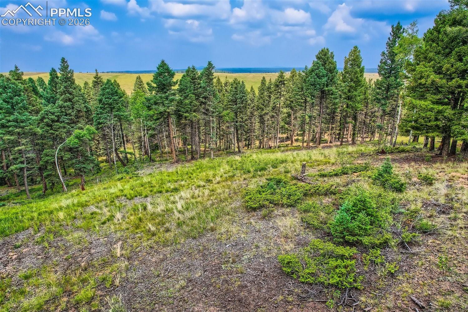 Photo 6 of 4600 Elk Valley Road, Divide
