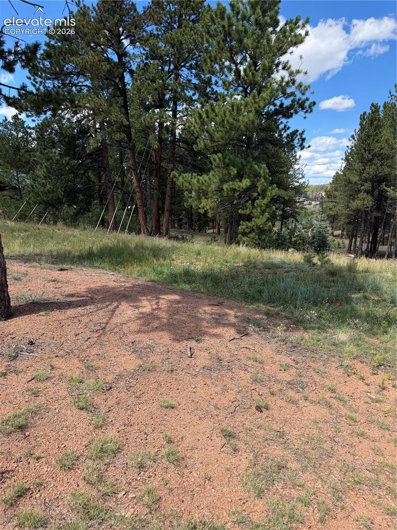Photo 6 of 1396 Roberts Ranch Road, Woodland Park