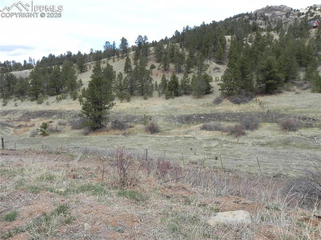 Photo 8 of 521 Monarch Drive, Cripple Creek