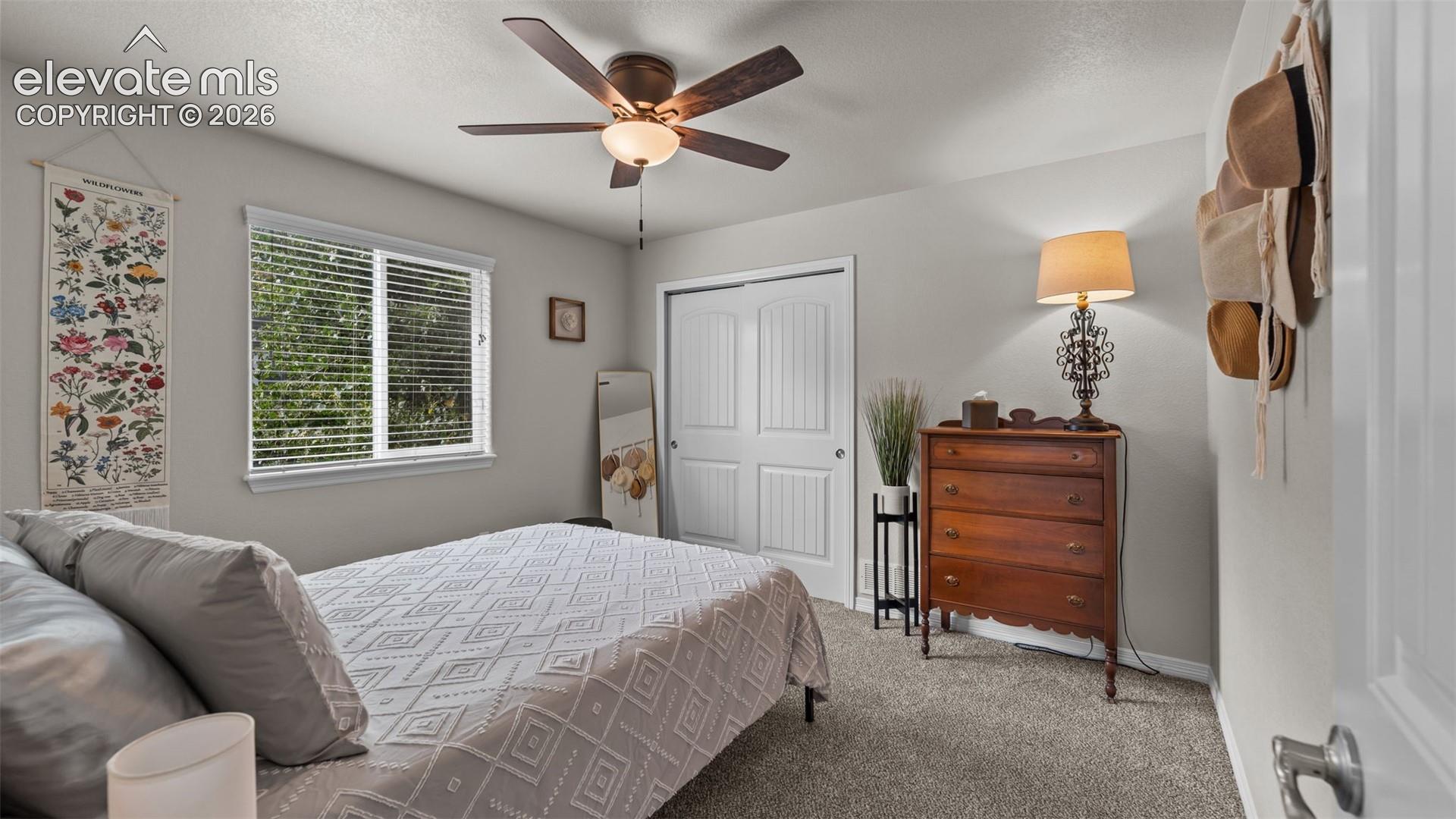 Photo 7 of 6754 Phantom Way, Colorado Springs