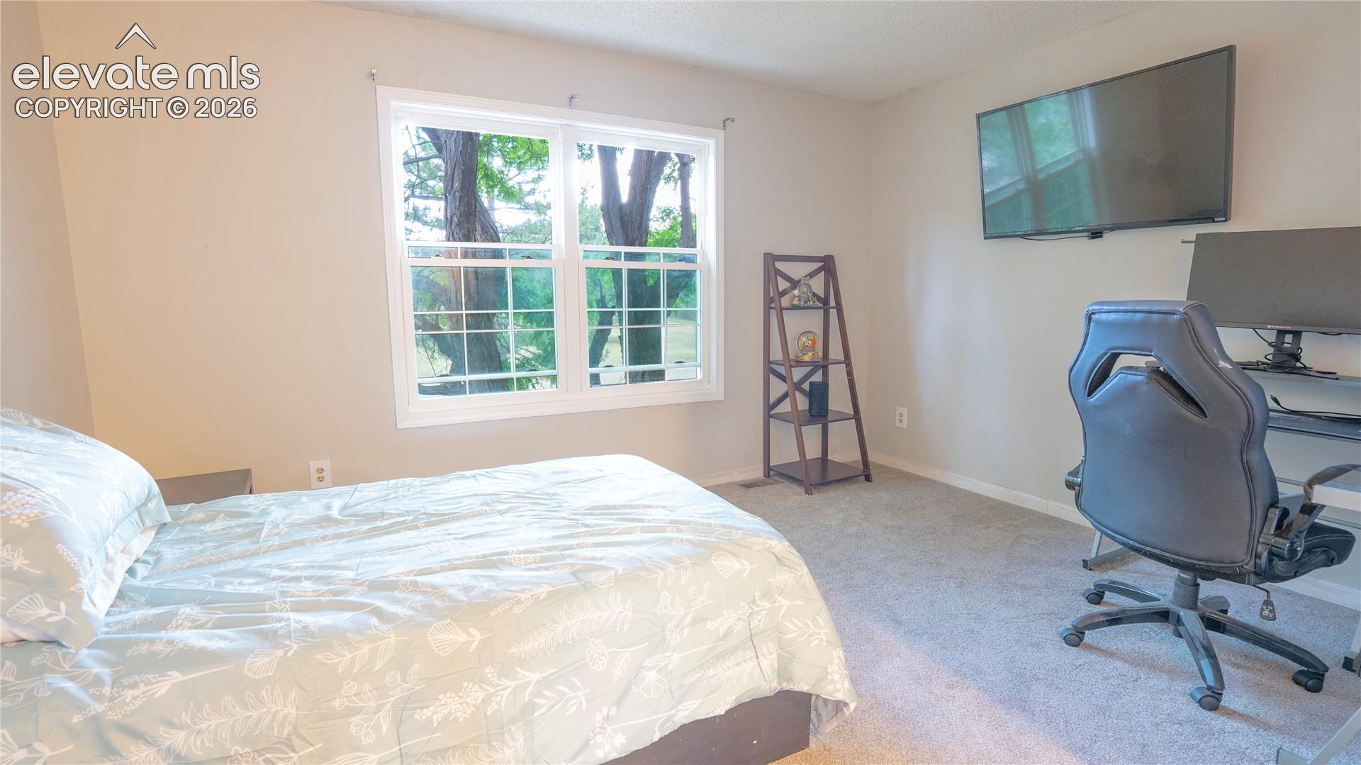 Photo 8 of 3575 Queen Anne Way, Colorado Springs