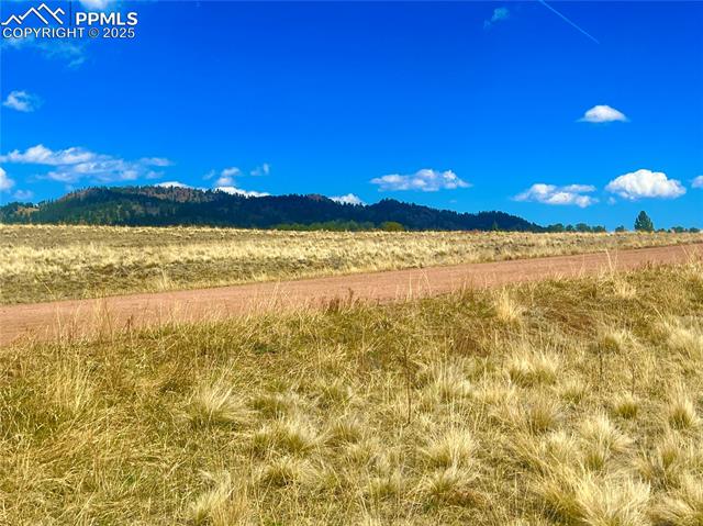 90 Meadow Ln, Guffey, CO 80820