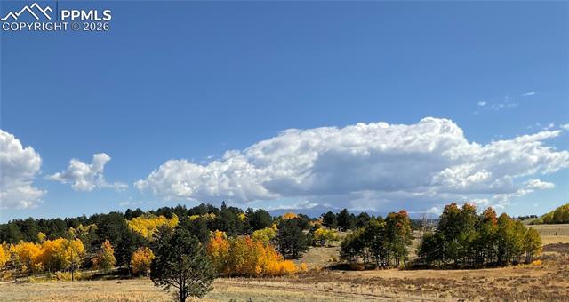 Fall Color! 