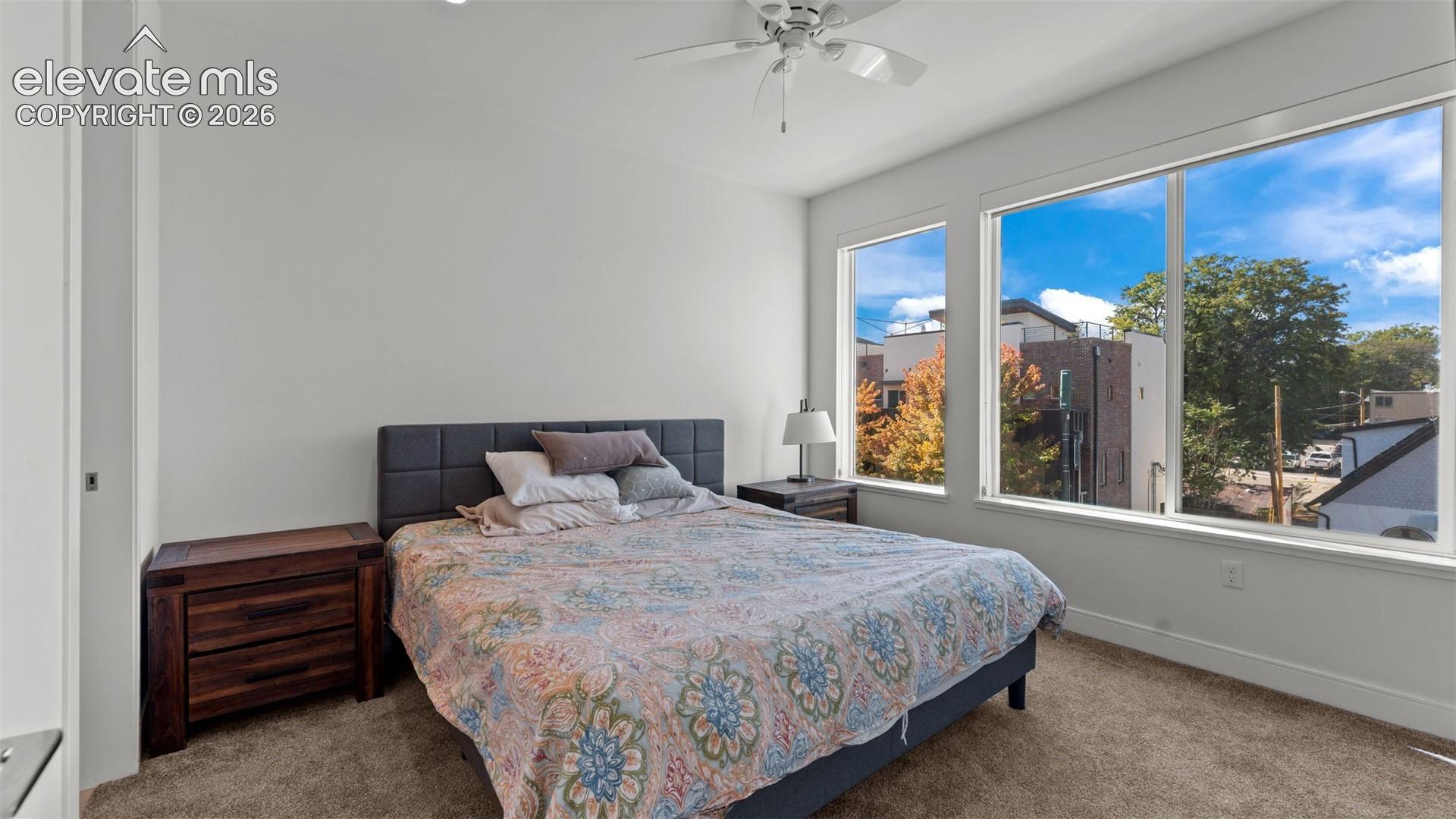 Neutral-toned interior space featuring expansive windows, carpeted flooring, and a ceiling fan with integrated lighting