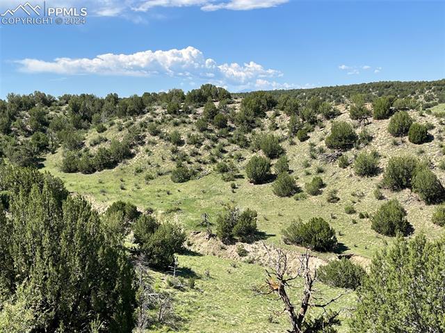 Photo 7 of Railroad Springs Road, Pueblo