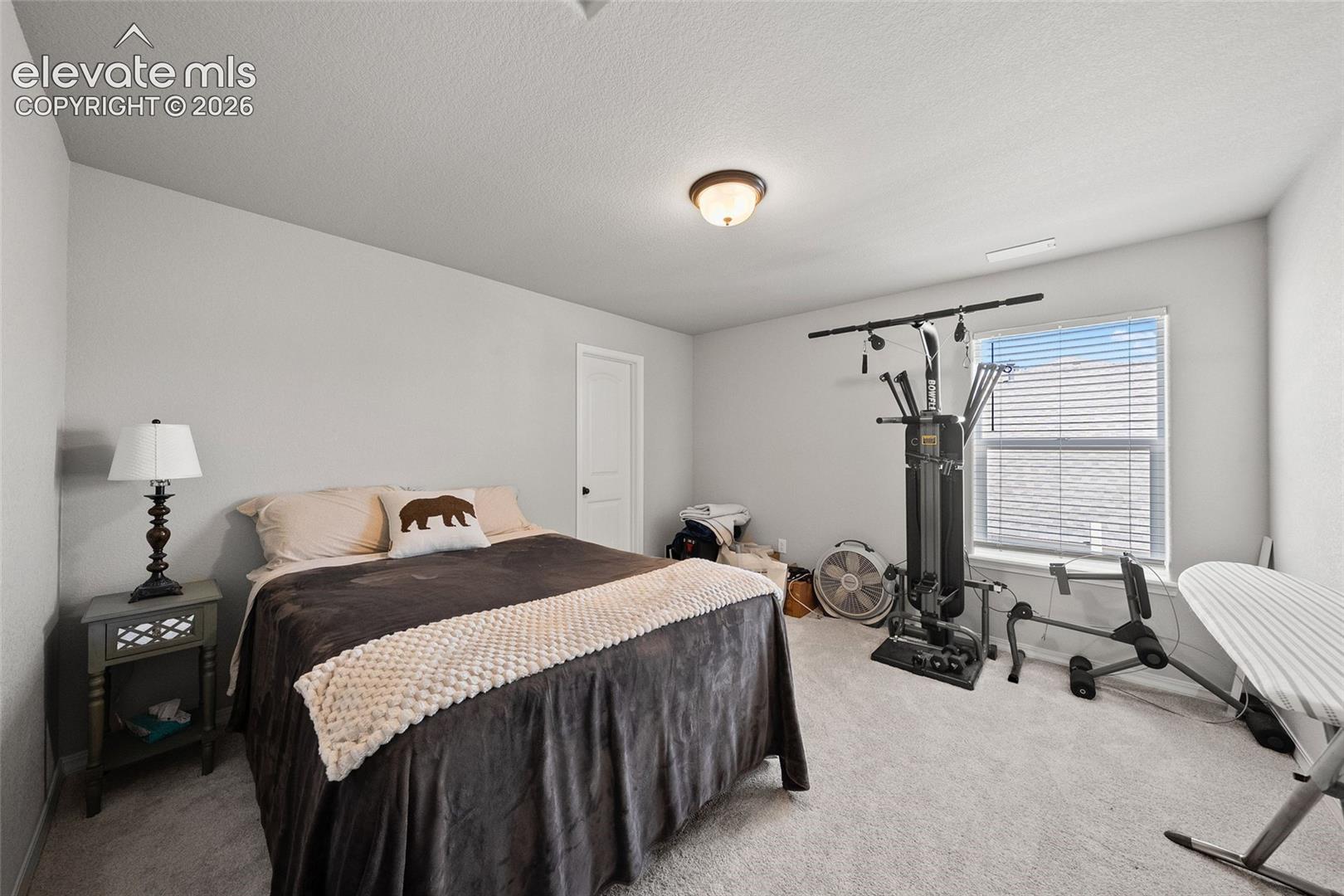 Photo 34 of 8412 Noreen Falls Drive, Colorado Springs